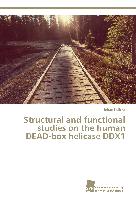 Structural and functional studies on the human DEAD-box helicase DDX1