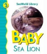 Baby Sea Lion San Diego Zoo