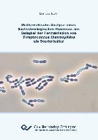 Mathematische Analyse eines biotechnologischen Prozesses am Beispiel der Fermentation von Streptococcus thermophilus als Starterkultur