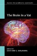The Brain in a VAT