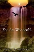 You are Wonderful