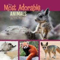 The Most Adorable Animals in the World