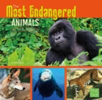 The Most Endangered Animals in the World