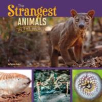 The Strangest Animals in the World