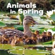 Animals in Spring