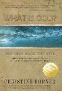 What Is God? Rolling Back the Veil