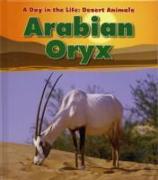 Arabian Oryx