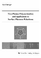 Two-Photon Polymerization and application to Surface Plasmon Polaritons