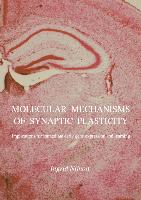 Molecular mechanisms of synaptic plasticity