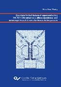 Quantum limited balanced superconducting 380-520 GHz mixer on a silicon membrane and mesoscopic tunnel devices for terahertz frequencies