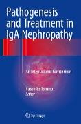 Pathogenesis and Treatment in IgA Nephropathy