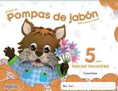 Pompas de Jabón, Educación Infantil, 5 años, 2 ciclo (Canarias). 3 Trimestre