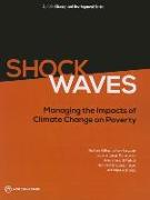 Shock Waves