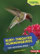 Ruby-Throated Hummingbirds