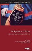 Indigenous Politics