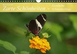 Zarte Schönheiten - Exotische Schmetterlinge (Wandkalender immerwährend DIN A4 quer)