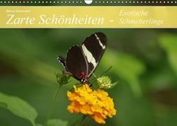 Zarte Schönheiten - Exotische Schmetterlinge (Wandkalender immerwährend DIN A3 quer)