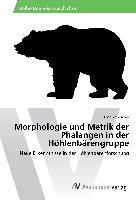Morphologie und Metrik der Phalangen in der Höhlenbärengruppe