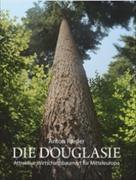 Die Douglasie