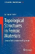 Topological Structures in Ferroic Materials