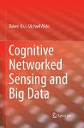 Cognitive Networked Sensing and Big Data