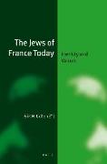 The Jews of France Today (Paperback): Identity and Values