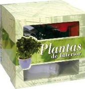 Plantas de interior