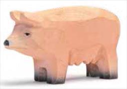 Hausschwein Piggy