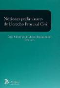 Nociones preliminares de Derecho procesal civil