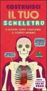 Costruisci il tuo scheletro e scopri come funziona il corpo umano