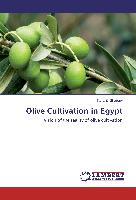 Olive Cultivation in Egypt