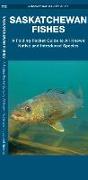 Saskatchewan Fishes: A Folding Pocket Guide to All Known Native and Introduced Species