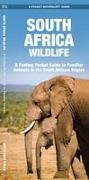 South Africa Wildlife: A Folding Pocket Guide to Familiar Animals in the South African Region