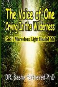 The Voice of One Crying In the Wilderness: God's Marvelous Light Healed Me