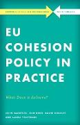 EU Cohesion Policy in Practice