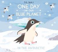 One Day on Our Blue Planet: In the Antarctic