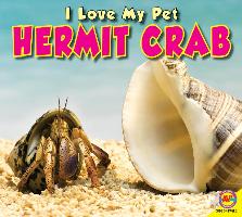 Hermit Crab