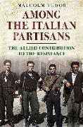 Among the Italian Partisans