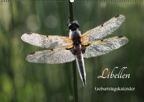 Libellen Geburtstagskalender (Wandkalender immerwährend DIN A2 quer)