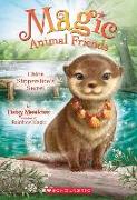 Chloe Slipperslide's Secret (Magic Animal Friends #11), Volume 11