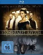 The Raven & Stonehearst Asylum