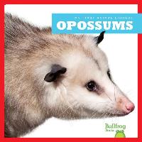 Opossums