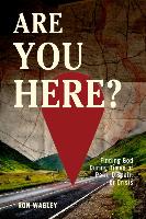 Are You Here?: Finding God During Times of Pain, Despair or Crisis