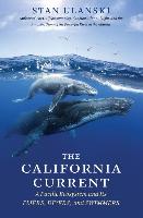 The California Current: A Pacific Ecosystem and Its Fliers, Divers, and Swimmers