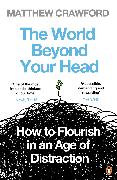 The World Beyond Your Head