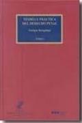 Teoría y práctica del derecho penal