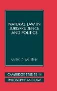 Natural Law in Jurisprudence and Politics