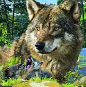 00073, 3D Postcard: Wolf / Wolf