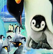 00063, 3D Postcard: Pinguin / Pinguin