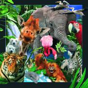 00058, 3D Postcard:Wilde Tiere/Wild Animals